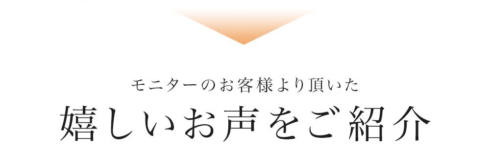 PLAMIDソープモニター