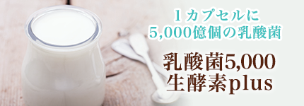 乳酸菌5,000