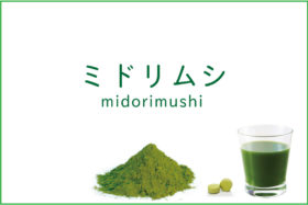 midorimushi